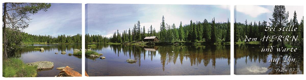 Bild "Panorama See"