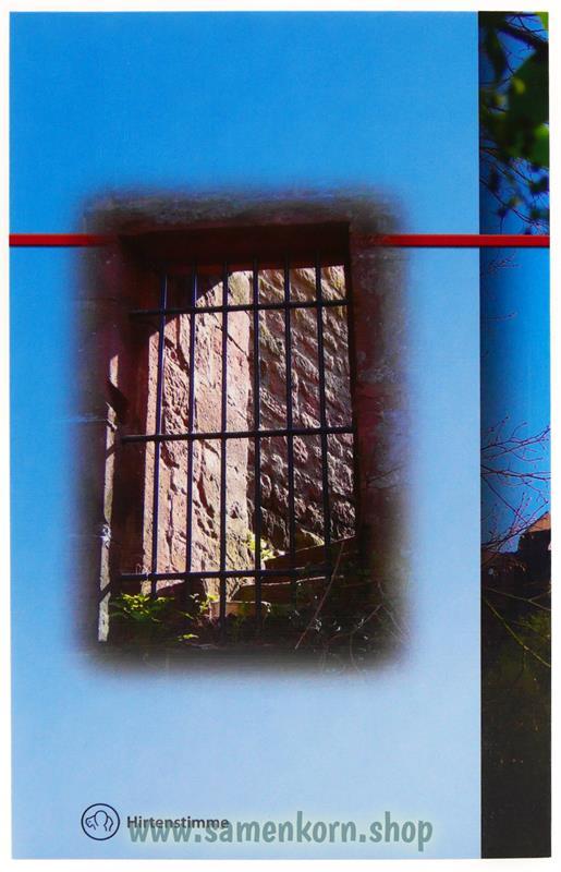Die Ruine / Buch