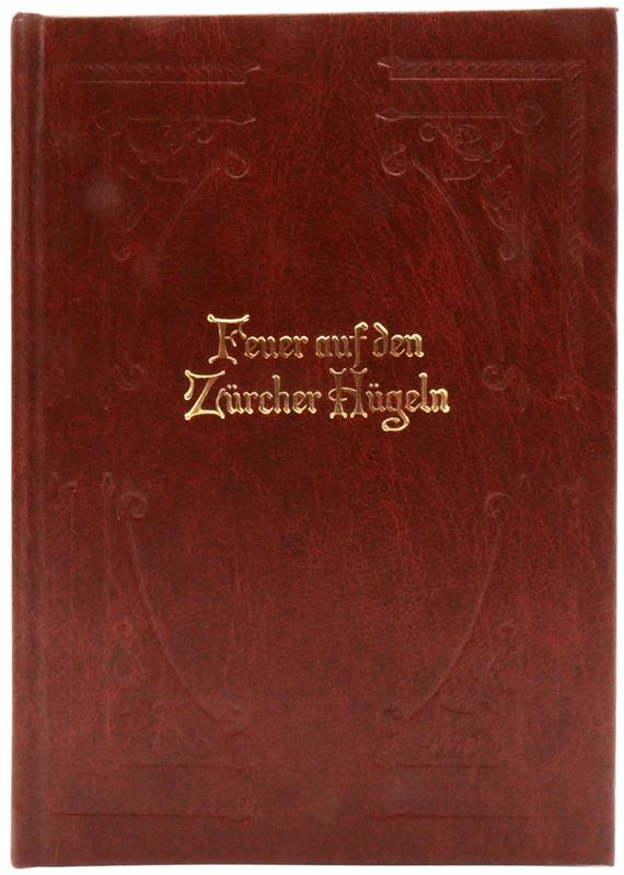 Feuer auf den Zürcher Hügeln / Buch