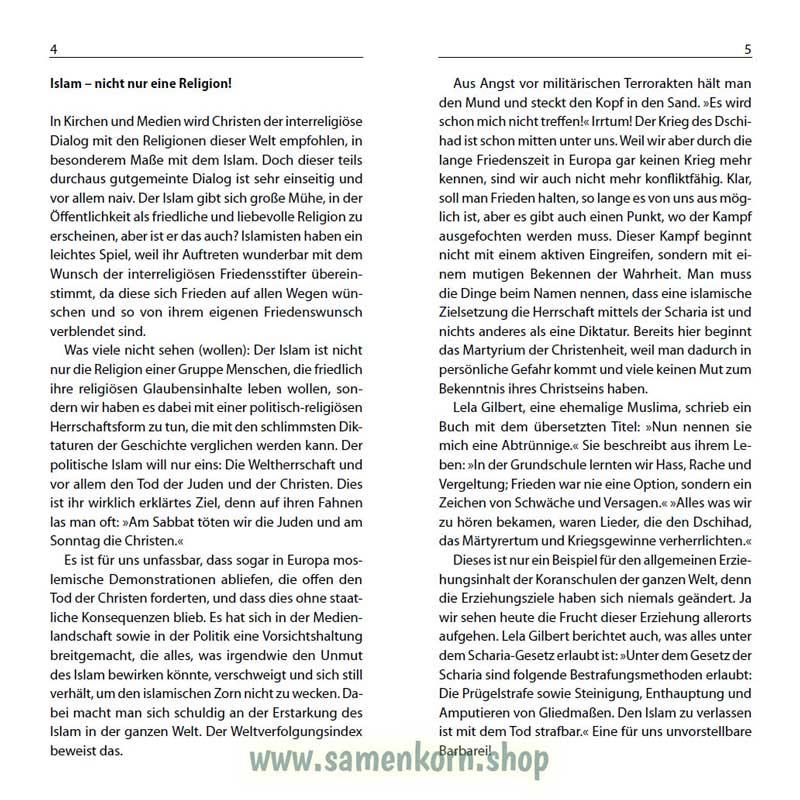 Islam, Band 10  Reihe Orientierung / Heft