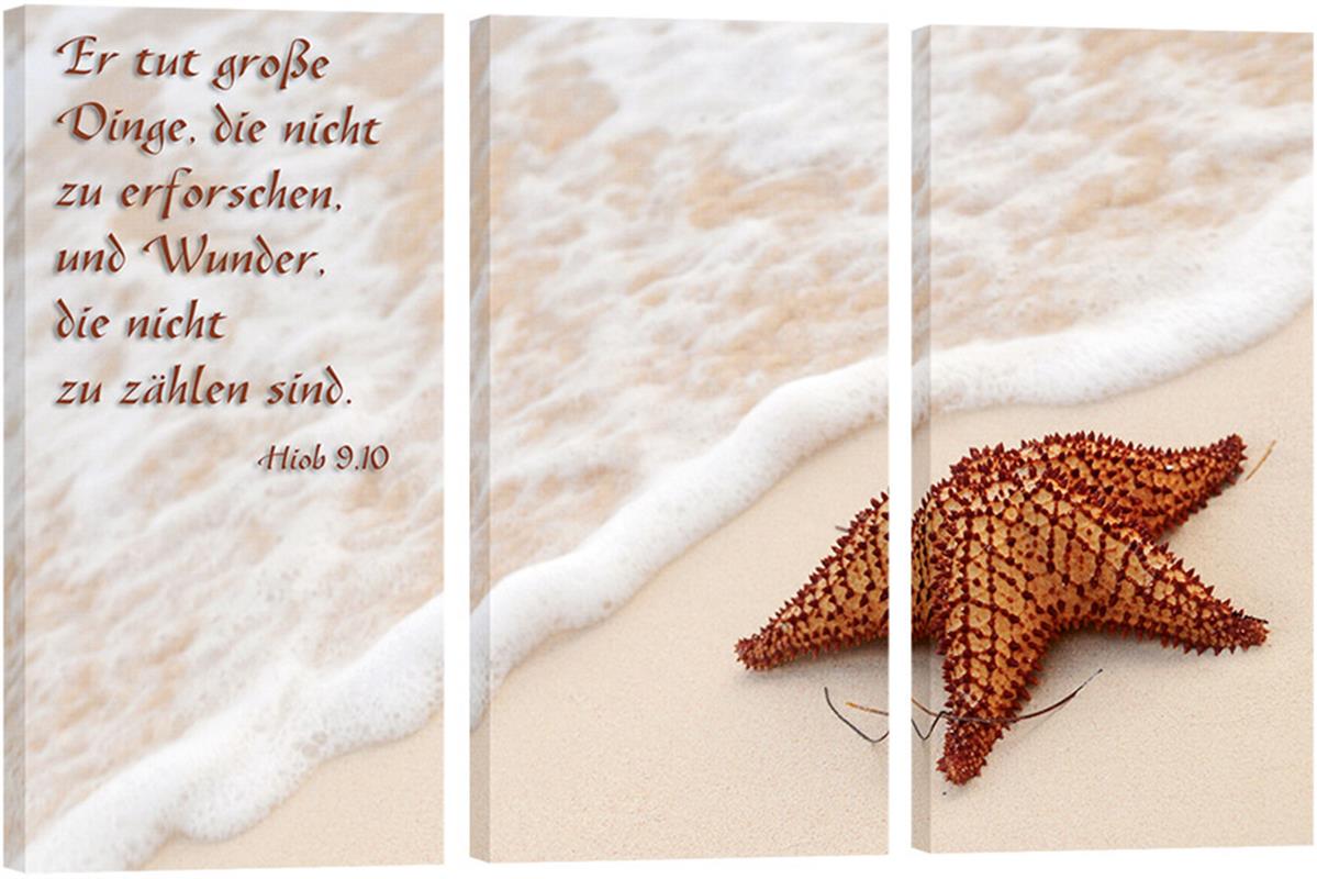 Bild "Seestern"
