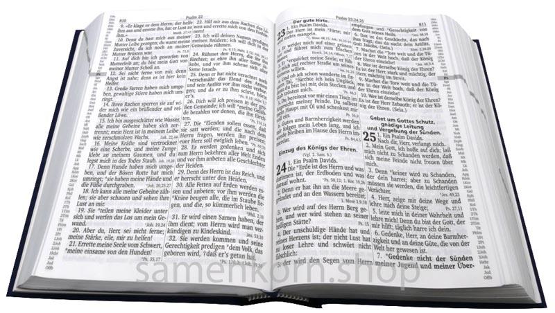 Luther 1912 – Standardausgabe – blau / Buch