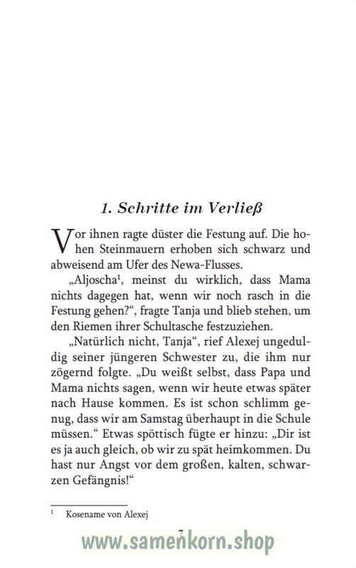 Der Schatz im Kofferraum / Buch