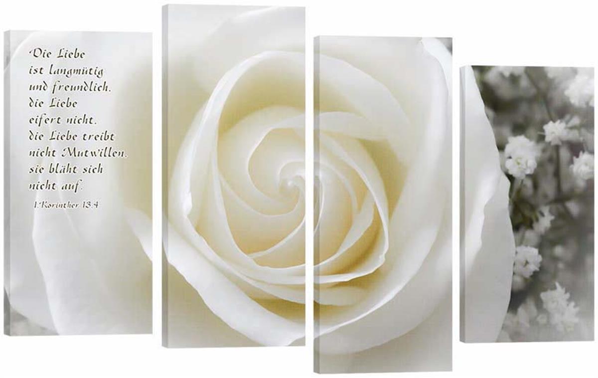Bild "Weiße Rose"