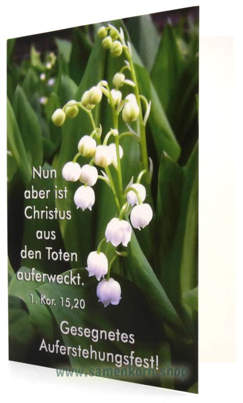 Doppelkarten zu Ostern / 5 Karten
