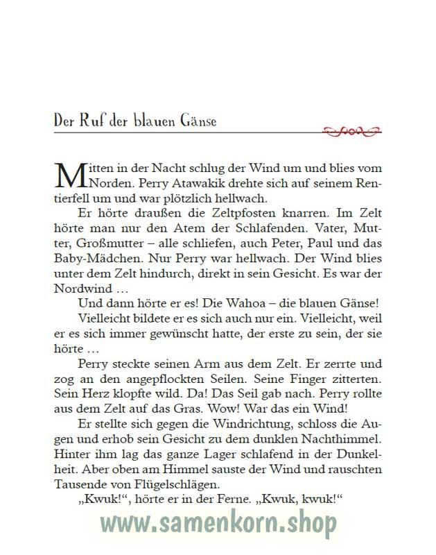 Der Ruf der blauen Gänse / Buch