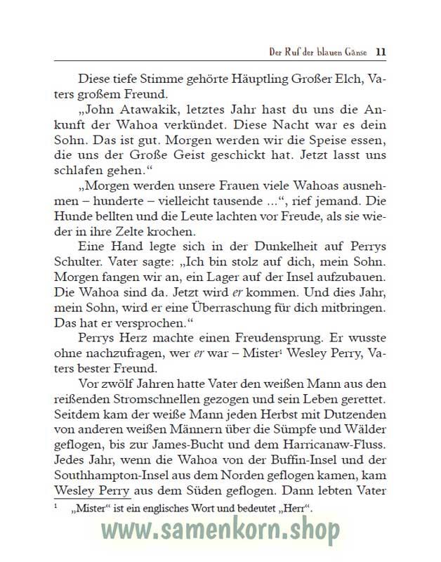 Der Ruf der blauen Gänse / Buch