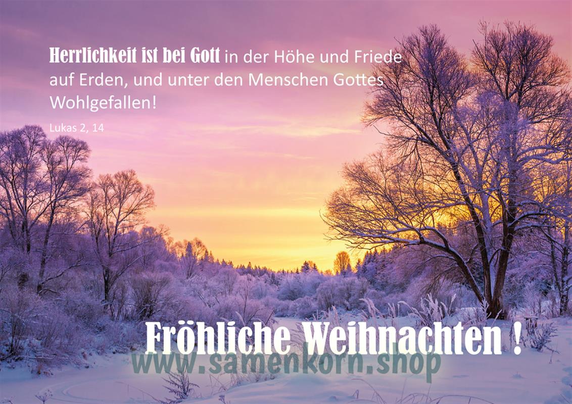 Doppelkarte "Fröhliche Weihnachten" Lukas 2,14