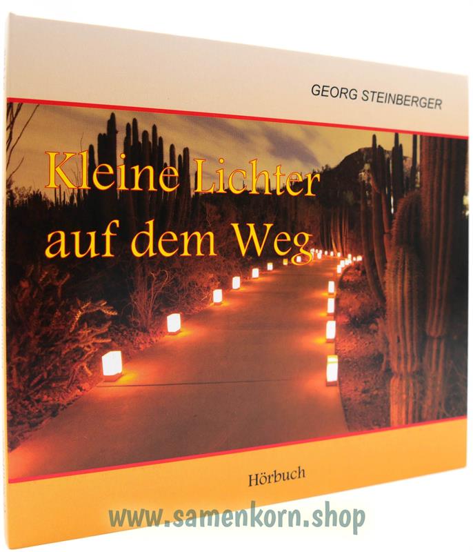 Kleine Lichter auf dem Weg / MP3-Hörbuch