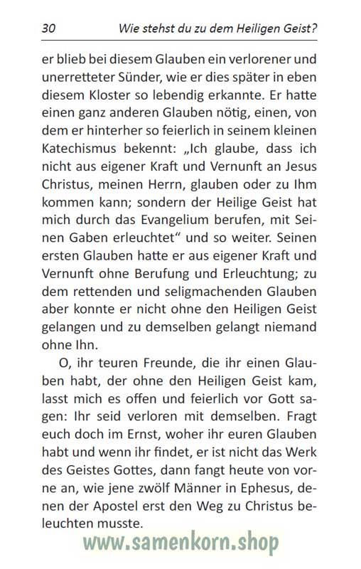 Wie stehst Du als Jünger des Herrn zum Heiligen Geist? / Buch