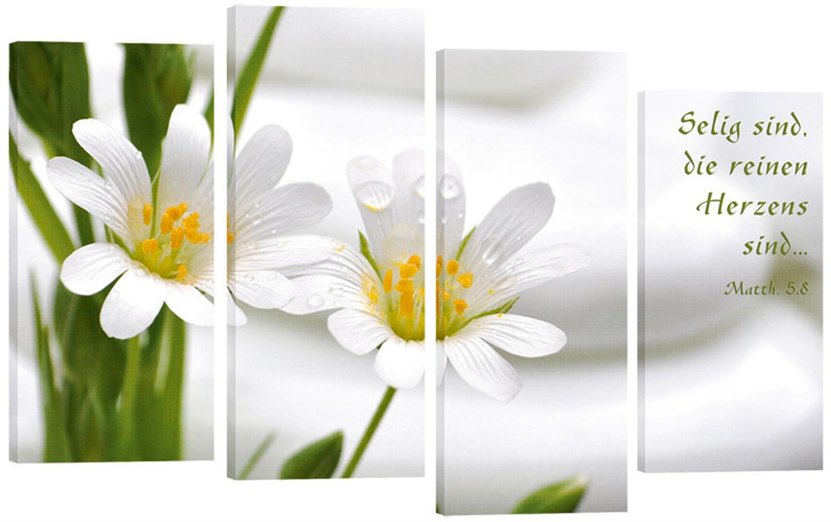 Bild "Weiße Blumen"