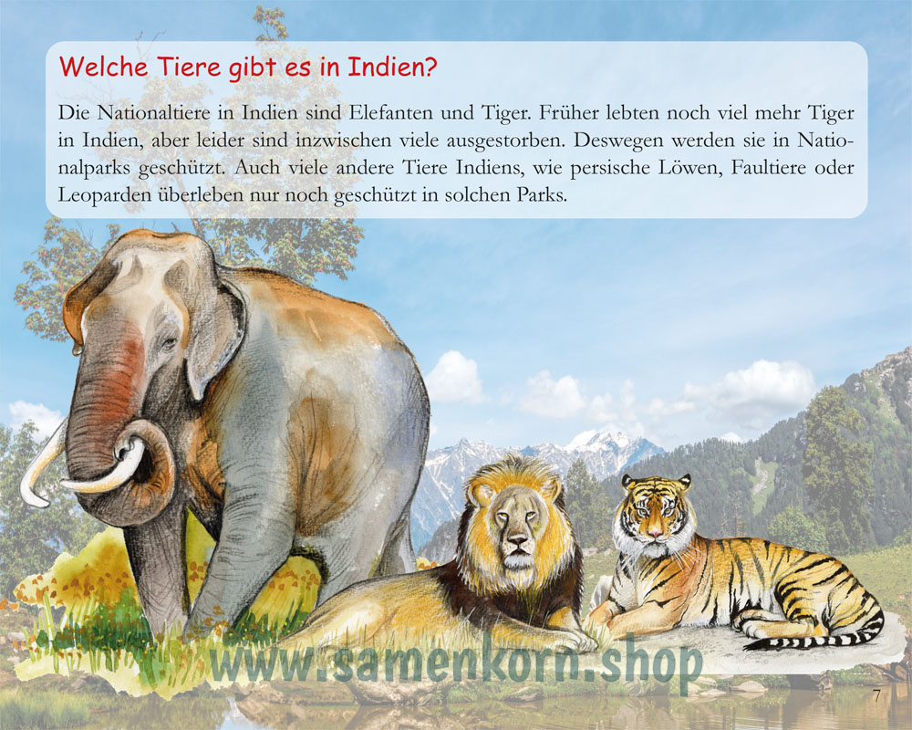 Die richtige Entscheidung - Kinder in Indien / Heft
