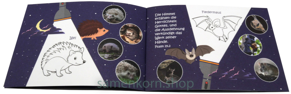 Mini-Rätselheft - Tiere in der Nacht / Heft