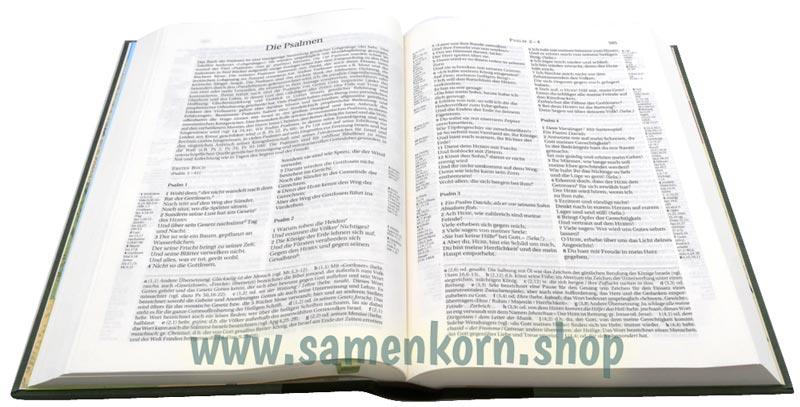 Schlachter 2000 ST Parallelstellen, GB, braun/khaki / Buch