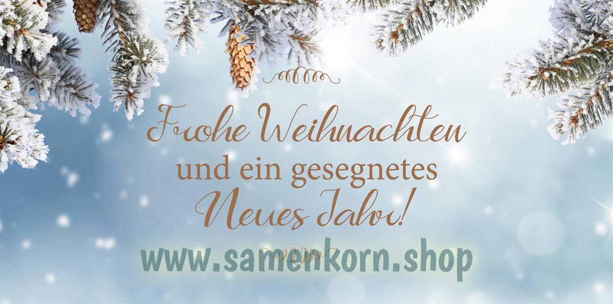 Doppelkarte "Frohe Weihnachten ..."  (Tannenzweige mit Zapfen)