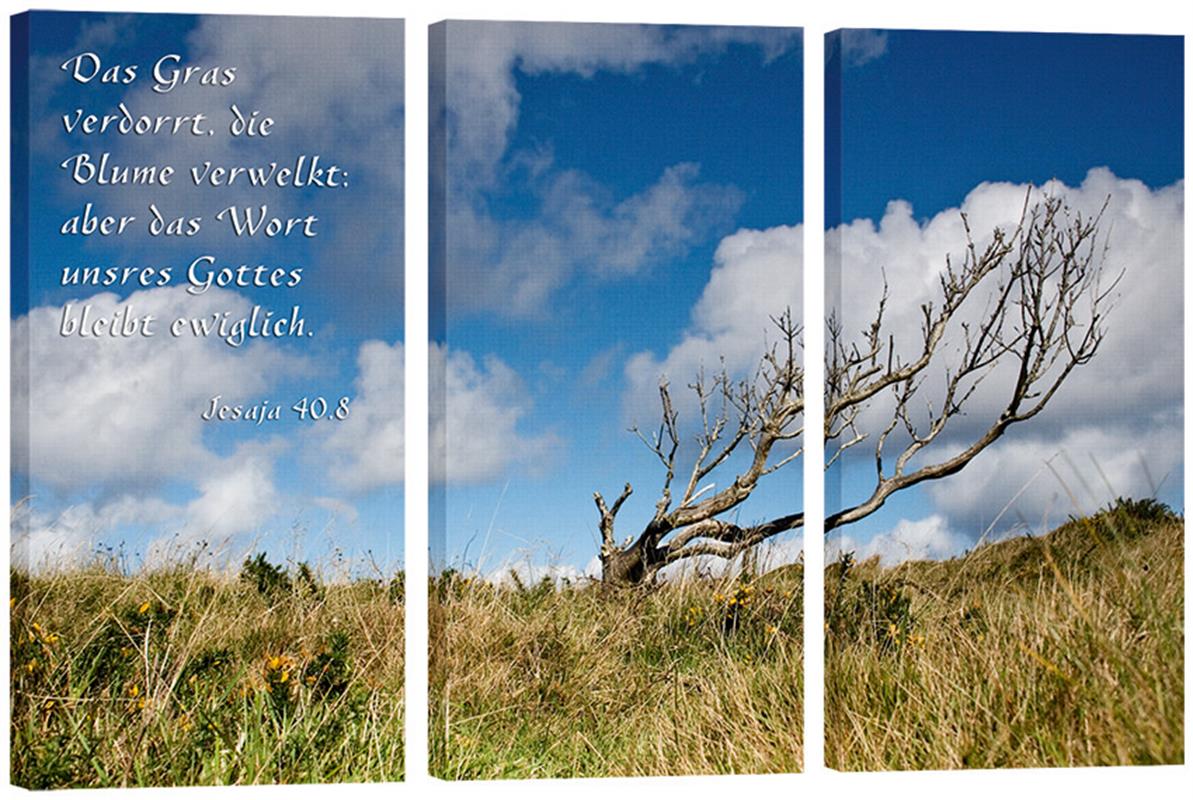 Bild "Der dürre Baum"