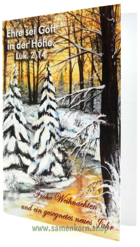 Doppelkarten "Winterlandschaft 1"