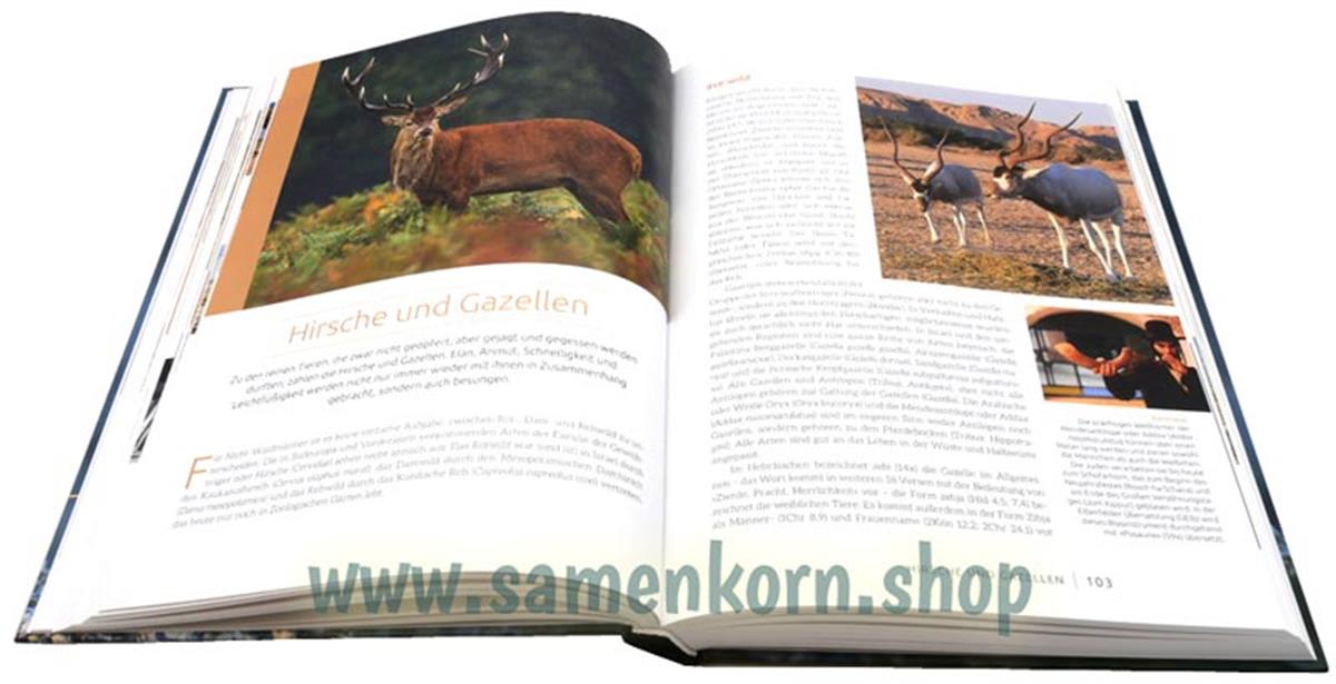 land:läufer/ Buch