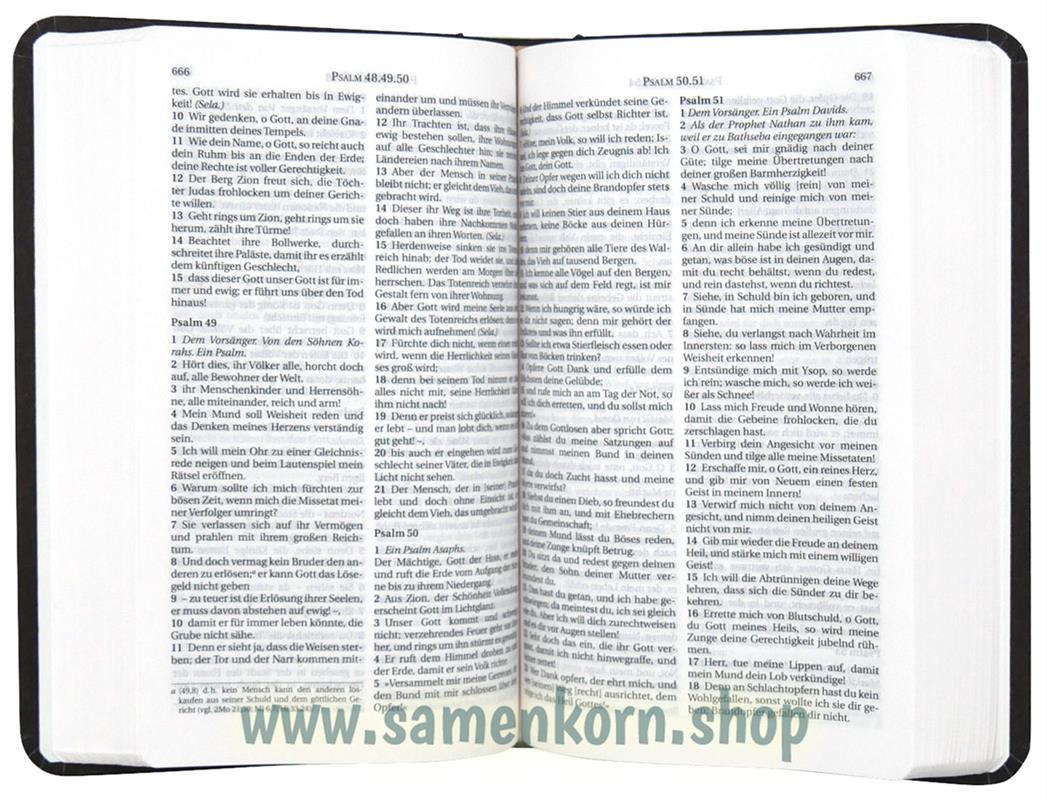 Schlachter 2000 Miniatur-Bibel, illustrierter Einband, Hardcover/ Buch