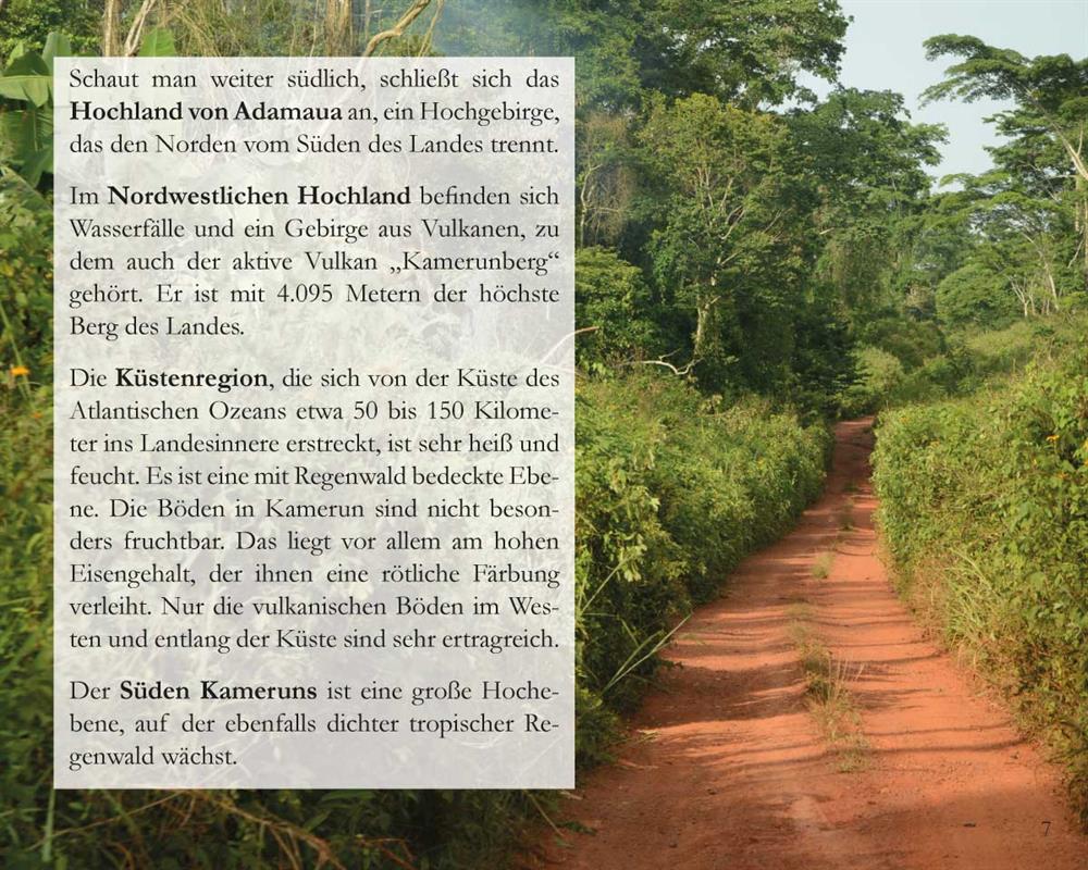 Der Fall vom Mangobaum - Kinder in Kamerun / Heft