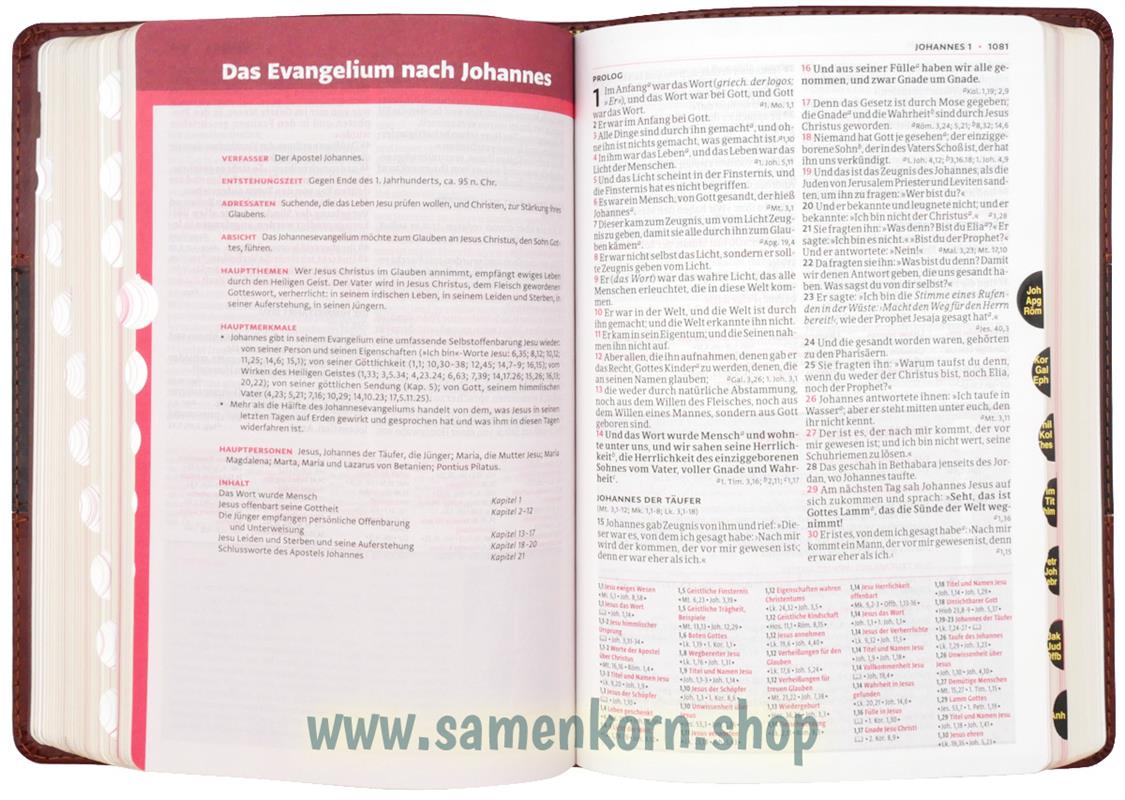 Luther21 F. C. Thompson Studienausgabe, braun/dunkelbraun, GS, GR / Buch