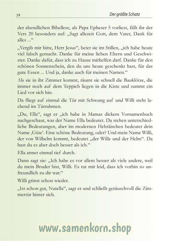 Der größte Schatz / Buch