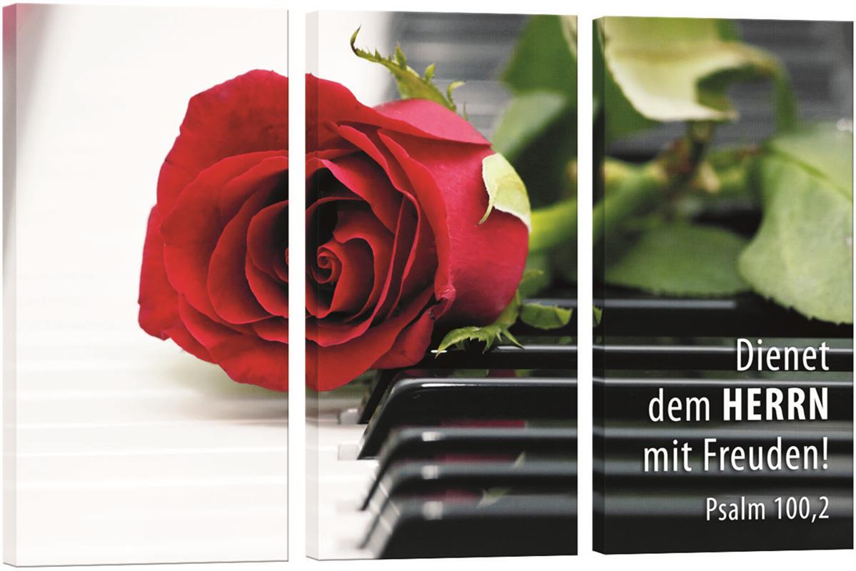 Bild "Rose auf Klavier"