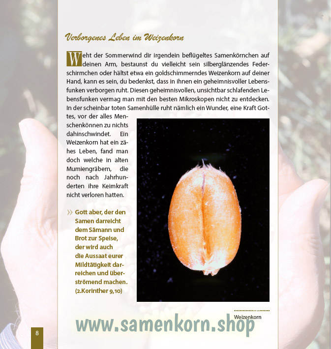 Wunder vom Weizenkorn zum Brot / Buch