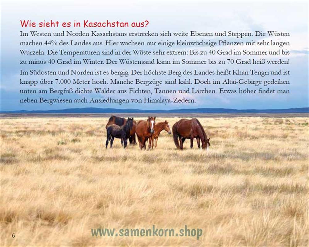 Der seltsame Besuch - Kinder in Kasachstan / Heft