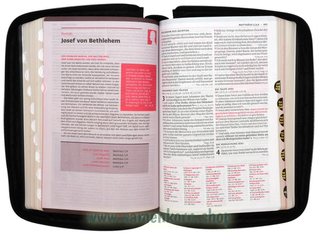 Luther21 F. C. Thompson Studienausgabe, Lederfaser, schwarz, GS, GR, RV / Buch