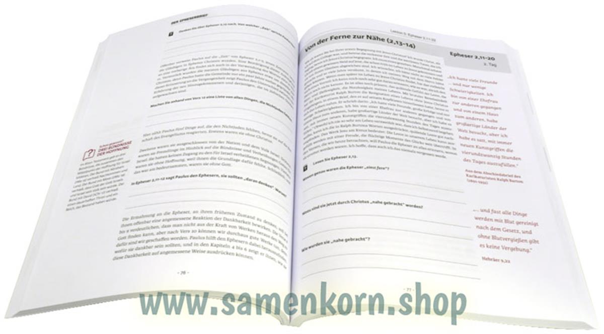 Der Epheserbrief - Kurs / Buch