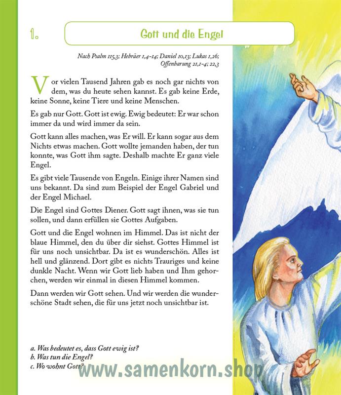 Entdecke die Bibel - AT / Kinderbibel