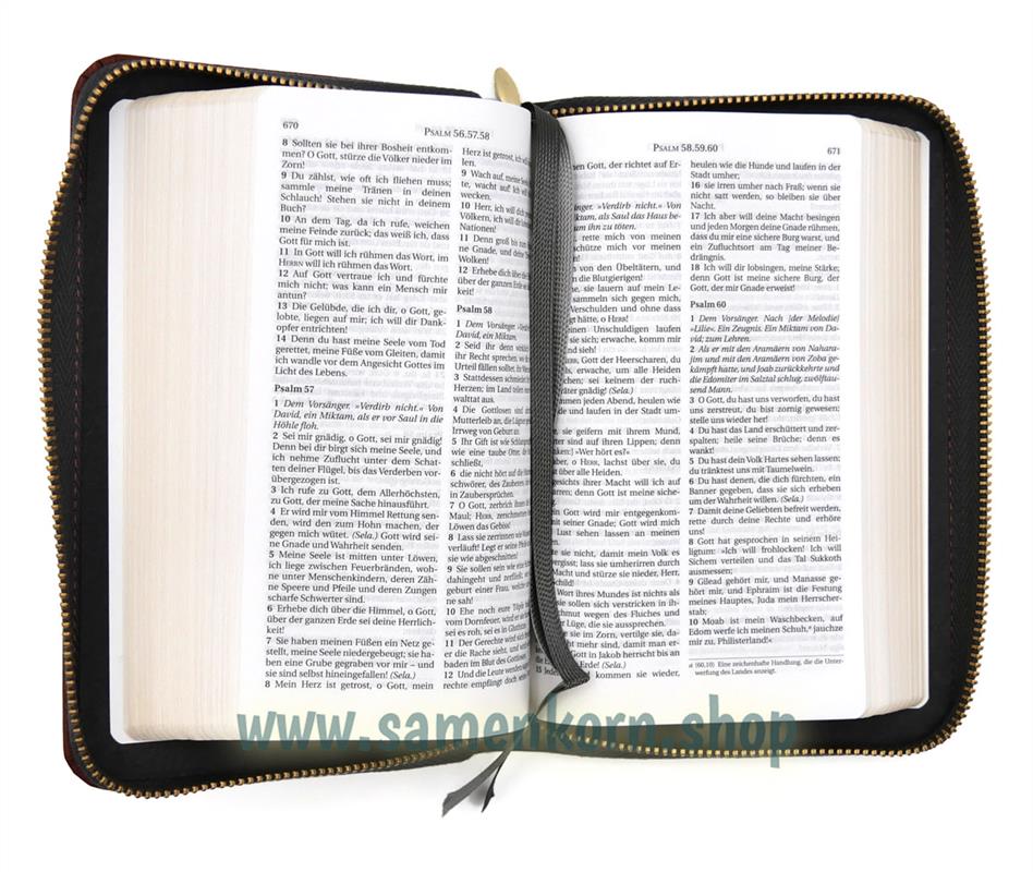 Schlachter 2000 Miniatur-Bibel,PU-Einband grau/braun, GS, RV / Buch