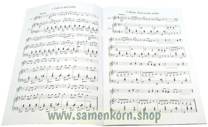 Akkordeon Unterricht, Band 3