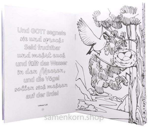 Malheft - Schöpfung