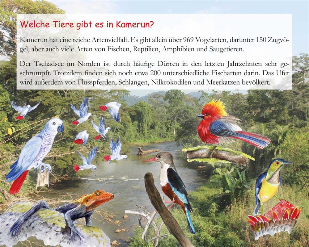 Der Fall vom Mangobaum - Kinder in Kamerun / Heft