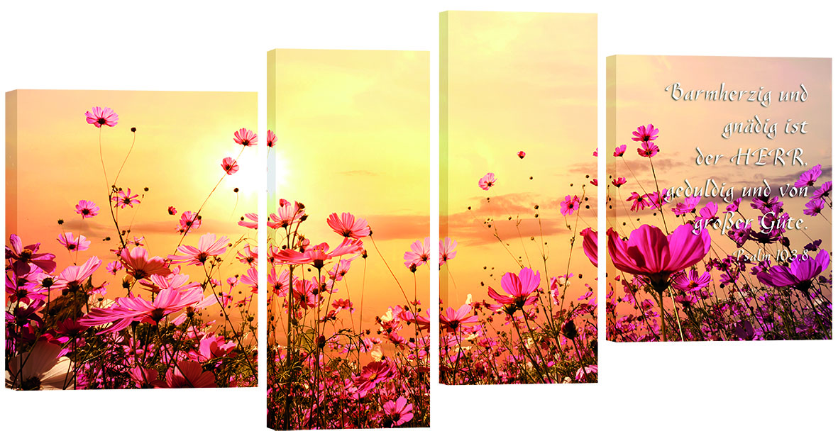 Bild "Blumenfeld"
