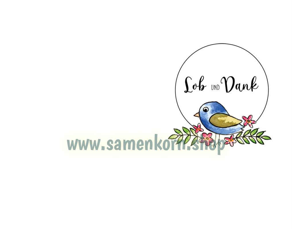 Hab Dank, Herr Jesus! - Kindergedichte / Buch