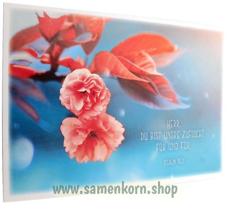 Postkartenbox "Getragen und getröstet"
