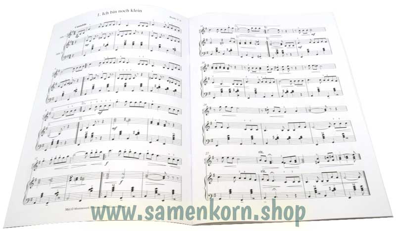 Akkordeon Unterricht / Notenheft zur Hochzeit