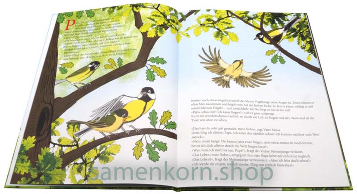 Flieg mir nach! - Ich lehre dich das Leben / Buch
