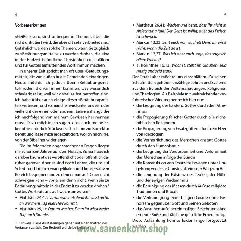 Heiße Eisen in den Gemeinden, Band 8  Reihe Orientierung / Heft