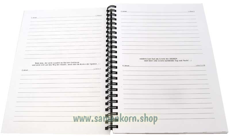 Mein BibelJournal - Basic / Ring-Buch