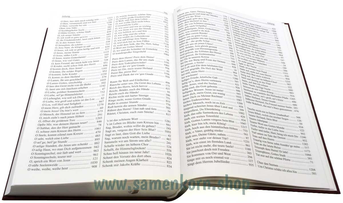 Liederbuch mit Noten, Band 1
