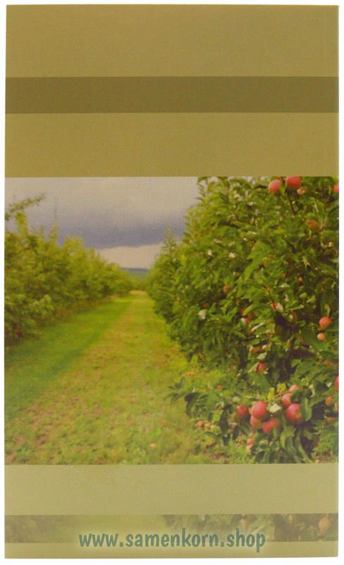 Der Apfelkorb und andere Kindergeschichten / Buch