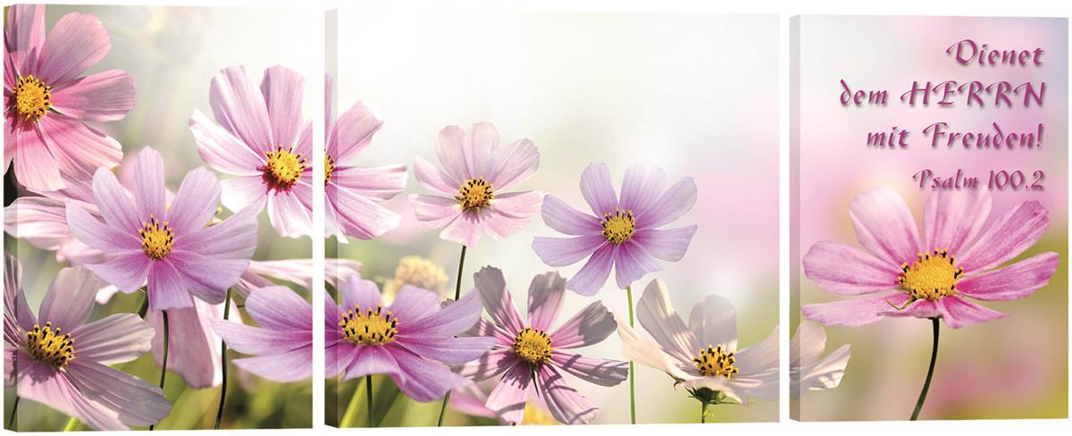 Bild "Panorama Blumen"