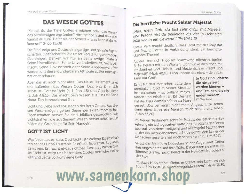 Wie groß ist unser Gott!? / Buch