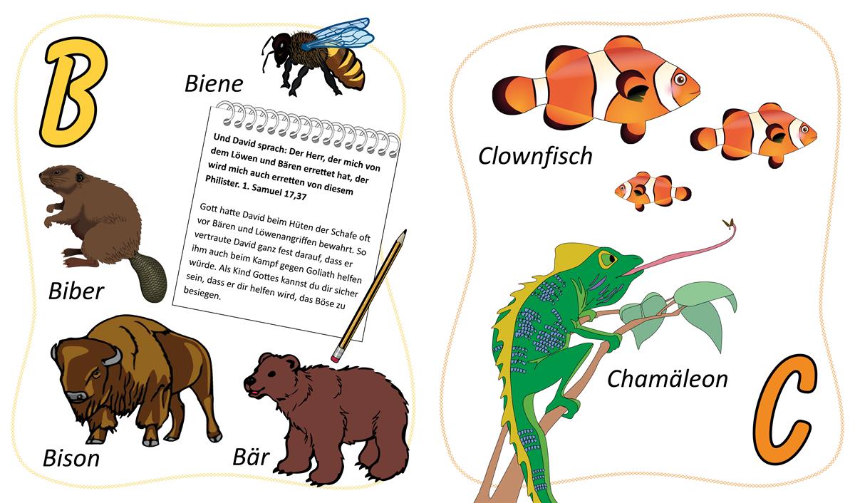 Pappbuch ABC/ Buch