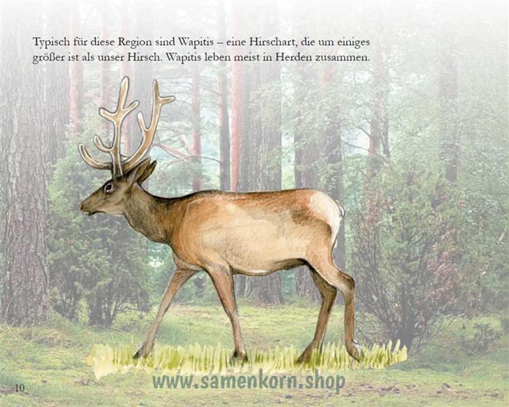 Der seltsame Besuch - Kinder in Kasachstan / Heft