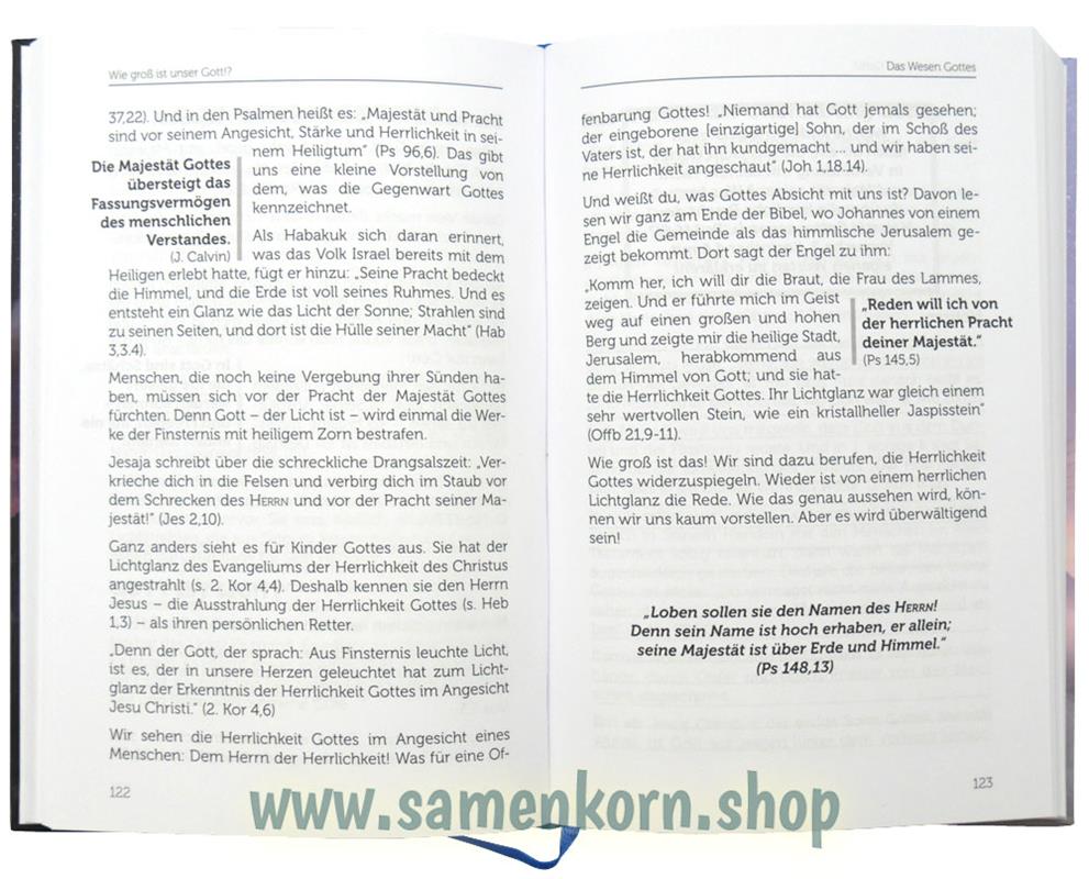 Wie groß ist unser Gott!? / Buch